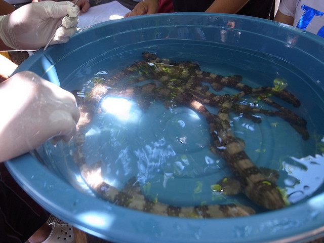 May 26, 2012 11:12 AM